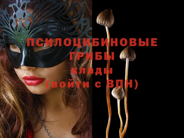кокс Абинск