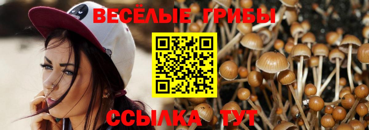 Псилоцибиновые грибы ЛСД  Вход с VPN  Уварово 